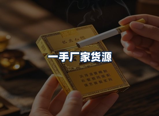 专业团队办公环境